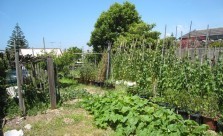 All Landscape Supplies Vegetable Gardens Kwikfynd